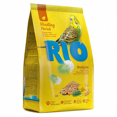     500 RIO       (21020)     