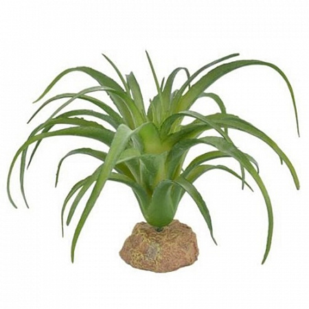 дополнительная картинка для Растение Осока 16.5х16.5х9.5см для террариума на сайте сети магазинов Бонифаций