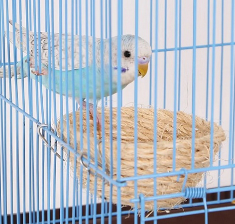дополнительная картинка для Гнездо D 10х5см Chill Choll сизаль для попугаев на сайте сети магазинов Бонифаций