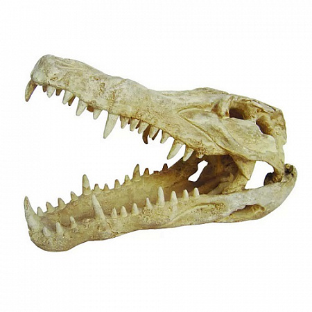 дополнительная картинка для Декор Череп крокодила 25х11.5х15.5см для аквариума на сайте сети магазинов Бонифаций