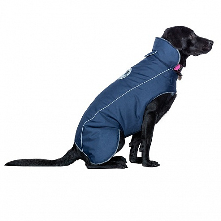 дополнительная картинка для Попона "Бостон" синяя-5 для собак на сайте сети магазинов Бонифаций