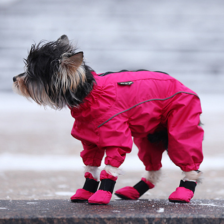 дополнительная картинка для Ботинки М JOY в сумочке малина для собак  на сайте сети магазинов Бонифаций
