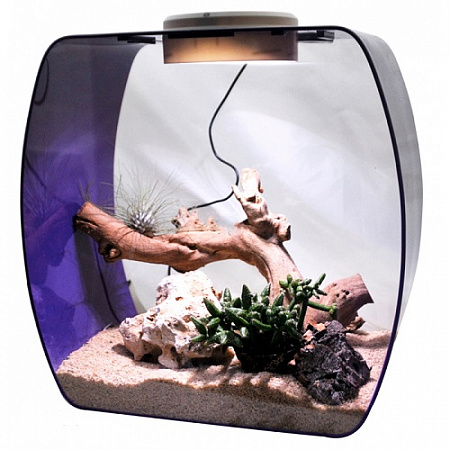 дополнительная картинка для Террариум 30х18х30см "Life Box" Lucky Reptile для рептилий на сайте сети магазинов Бонифаций