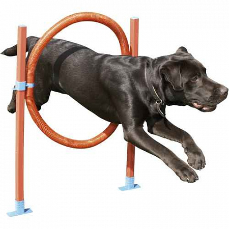 дополнительная картинка для Снаряд для аджилити "Обруч" для собак на сайте сети магазинов Бонифаций