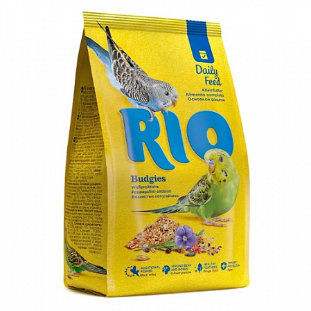     500 RIO    (21010)     