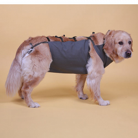 дополнительная картинка для Попона послеоперационная JOY уп.2шт цвет хаки размер М 55-60 для собак на сайте сети магазинов Бонифаций